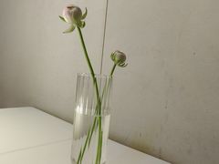 -眉州东坡(龙湖店)