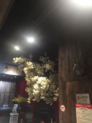 前台-侨治发型