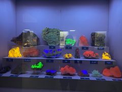 -湖南省地质博物馆