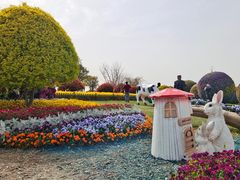 -荷兰花海