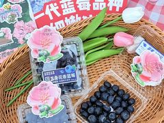 -堤角公园