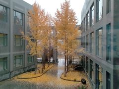 -北京工商大学(良乡校区)
