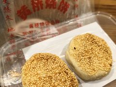 -东关历史文化旅游区-东门遗址