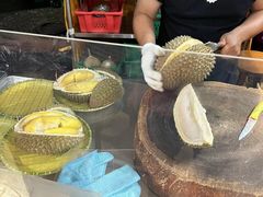 -榴莲BB 四季果园