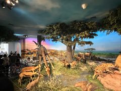 -国家自然博物馆