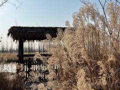 -溱湖国家湿地公园