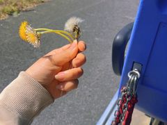 -大连天门山国家森林公园