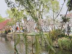 -无锡蠡湖国家湿地公园-蠡园
