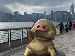 -星光大道