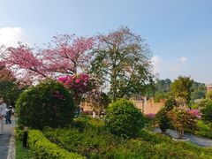 -东莞植物园