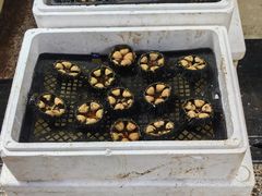 -恒达综合农贸市场(黄山路店)