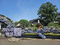 -无锡蠡湖国家湿地公园-蠡园