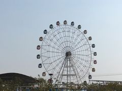 -金卉庄园