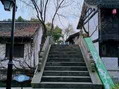 -鲁镇