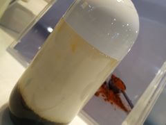 熊丸撞奶-兰熊鲜奶(西直门凯德mall店)