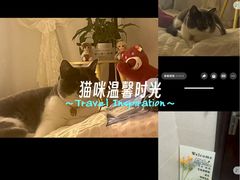 -友谊阳光城(金贸街道店)