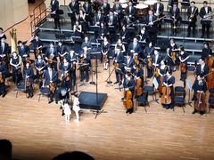 -中央音乐学院歌剧音乐厅