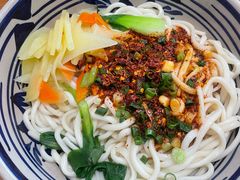 油泼面-捞一碗biangbiang面(大庆路店)