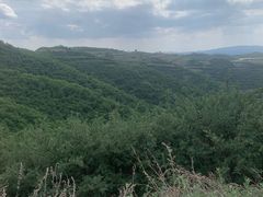 -云顶山风景区