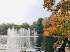 -共青国家森林公园-售票处