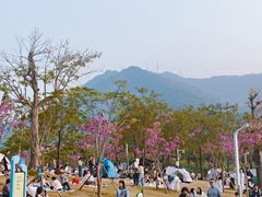 -白石龙音乐公园
