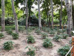 -仁和公园(顺义区)