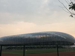 -大连体育中心体育馆