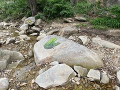 -黑龙潭风景区