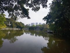 -柳侯公园