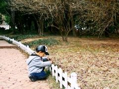 android_upload_pic-八大关景区