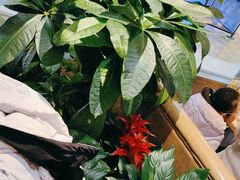 -荷花亭·湖北融合菜(十堰武商MALL店)