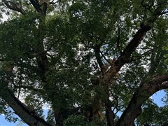 -古堰画乡景区