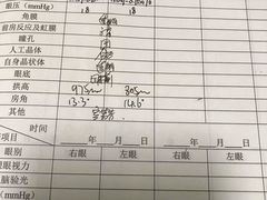 -上海大学附属上海和平眼科医院