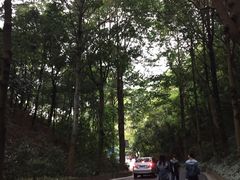 -白云山风景名胜区