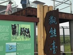 -黑瞎子岛探秘野熊园