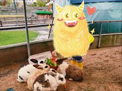 -前小桔亲子创意农场·草莓采摘·露营烧烤