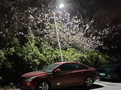 -广东花都湖国家湿地公园