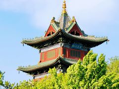 -迎泽公园