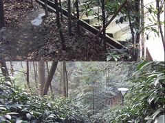 -重庆抗战遗址博物馆