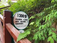 -大岭沟猕猴桃谷风景区