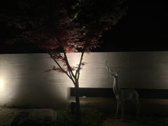 -天目湖涵田度假村