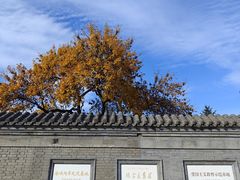 -张学良旧居陈列馆