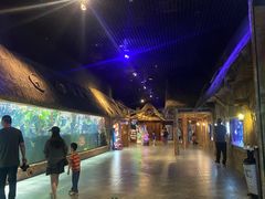 -华夏文旅海洋公园