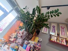 -我爱吾宠宠物美容院(朝阳路店)
