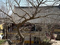 -冶父山国家森林公园