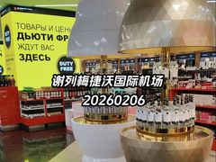 -谢列梅捷沃国际机场