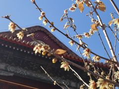-管氏翅吧(地安门创始店)