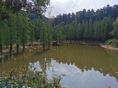 -广州市帽峰山景区