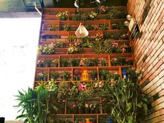 -巴壁馆(海棠花语店)
