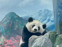 -武汉动物园
